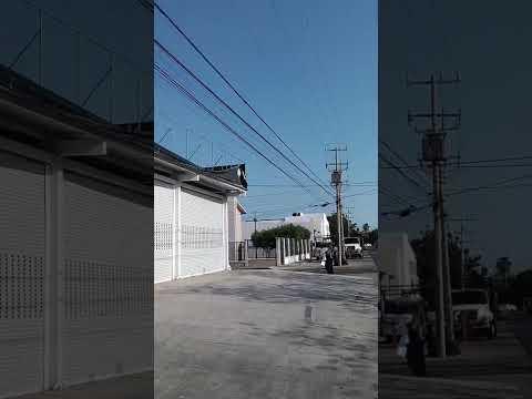 Previsualización del video