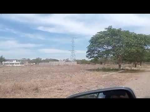 Previsualización de video