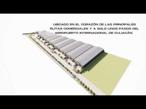 Previsualización del video