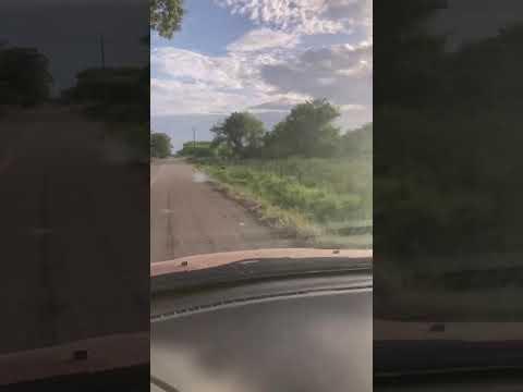 Previsualización del video