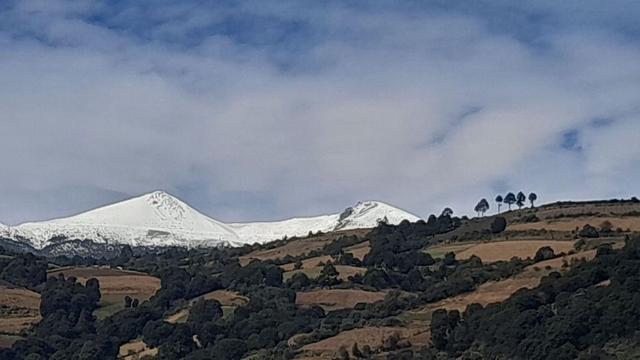 Foto de la galeria de imagenes