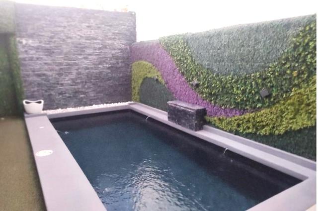 Foto de la galeria de imagenes