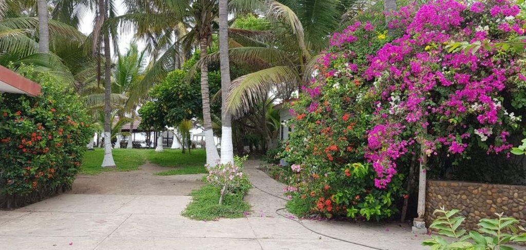 Foto de la galeria de imagenes