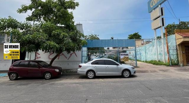 Foto de la galeria de imagenes